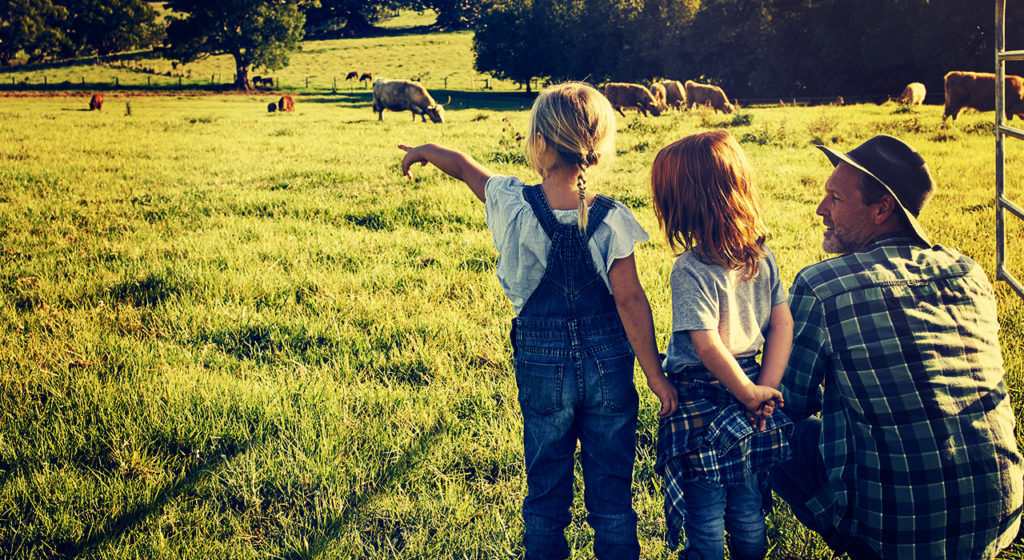 DEICHBRAND wird familienfreundlich