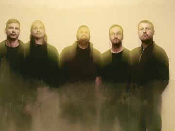 Feine Sahne Fischfilet